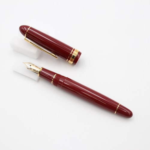 Penna stilografica platinum - penna,